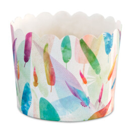 Cupcake liner – Rainbow Feathers – Maxi – 12 pieces