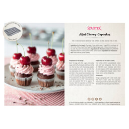 Download PDF