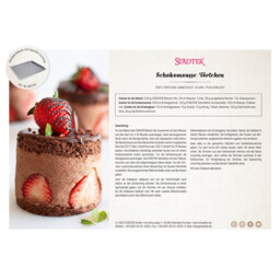 Download PDF