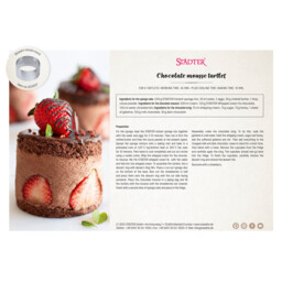Download PDF