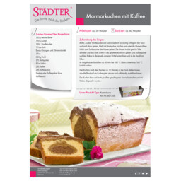 Download PDF