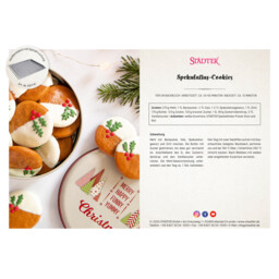 Download PDF