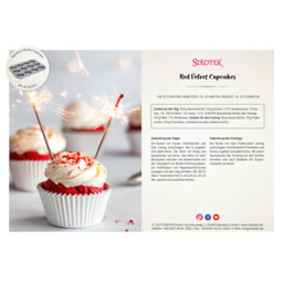 Download PDF