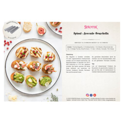 Download PDF