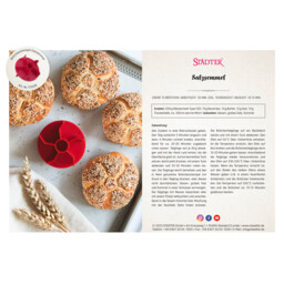 Download PDF