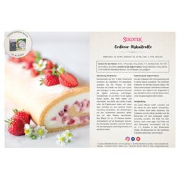 Download PDF