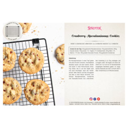 Download PDF