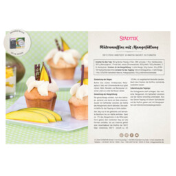 Download PDF